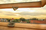 rated Othery roof window companies